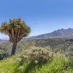 Casarural El Camino De Tejeda Holiday home
