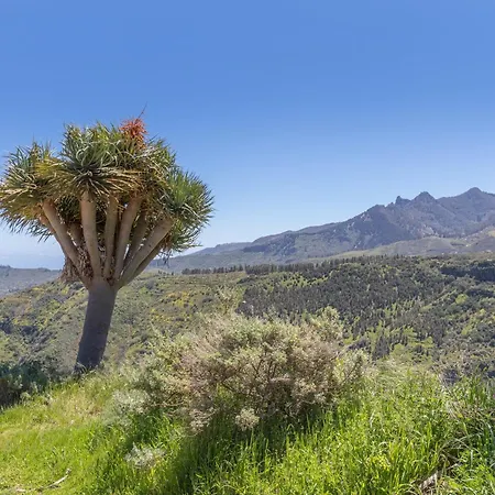 Casarural El Camino De Tejeda Feriehus
